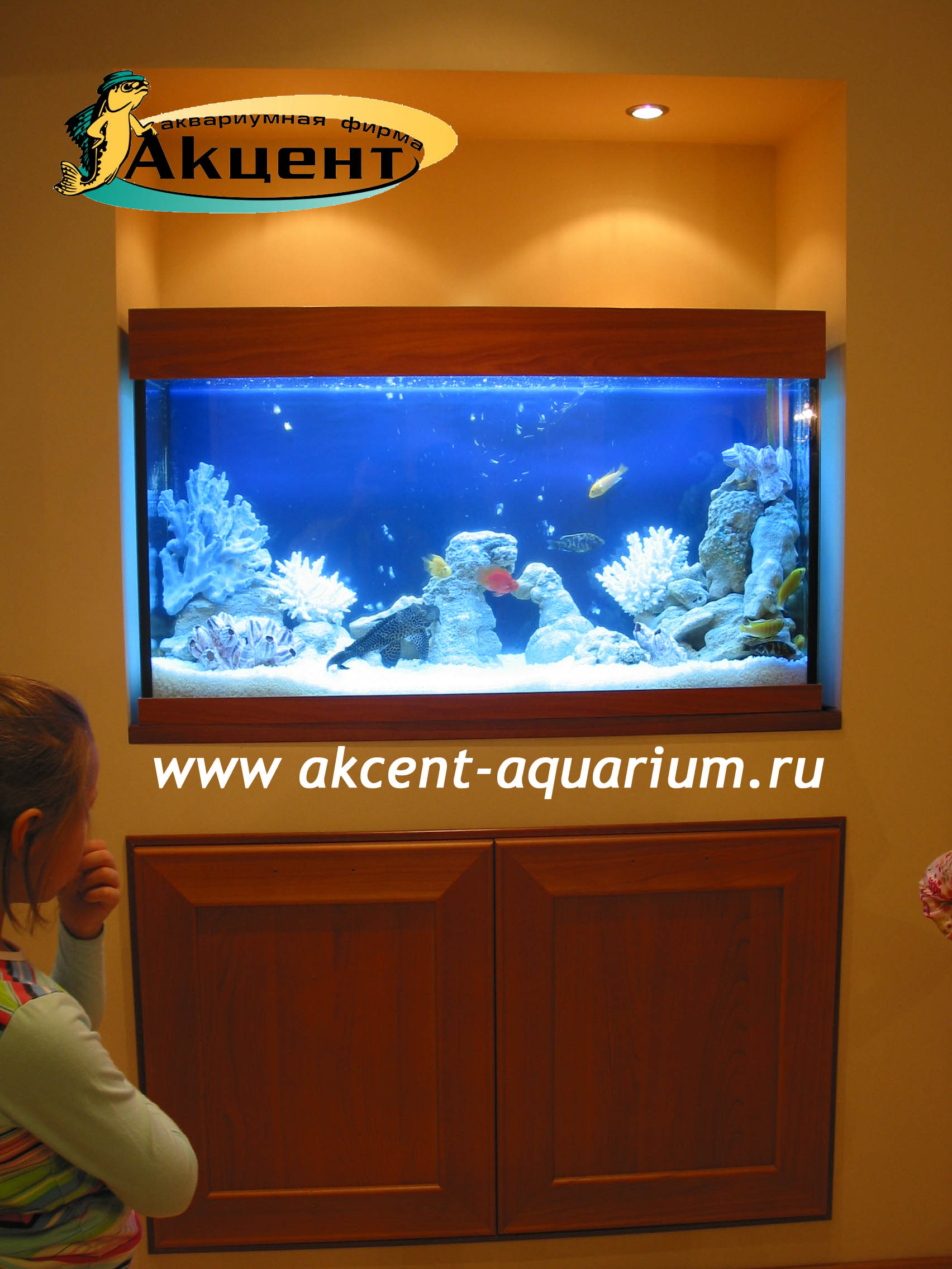 Акцент-аквариум, аквариум 300 литров в нише
